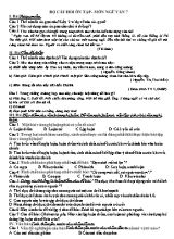 Bộ câu hỏi ôn tập - Môn Ngữ văn 7